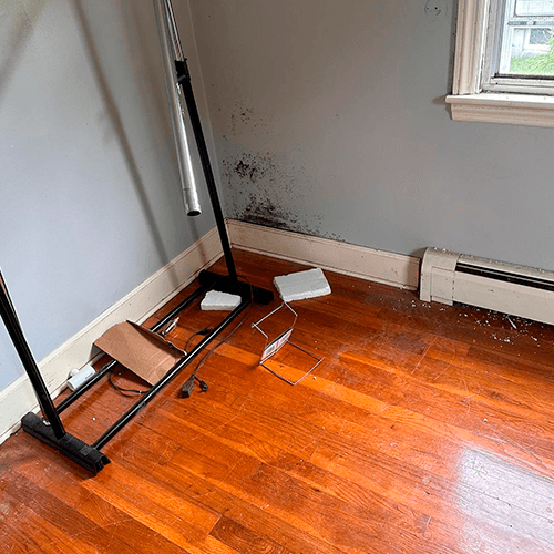 Initial Consultation & Assessment